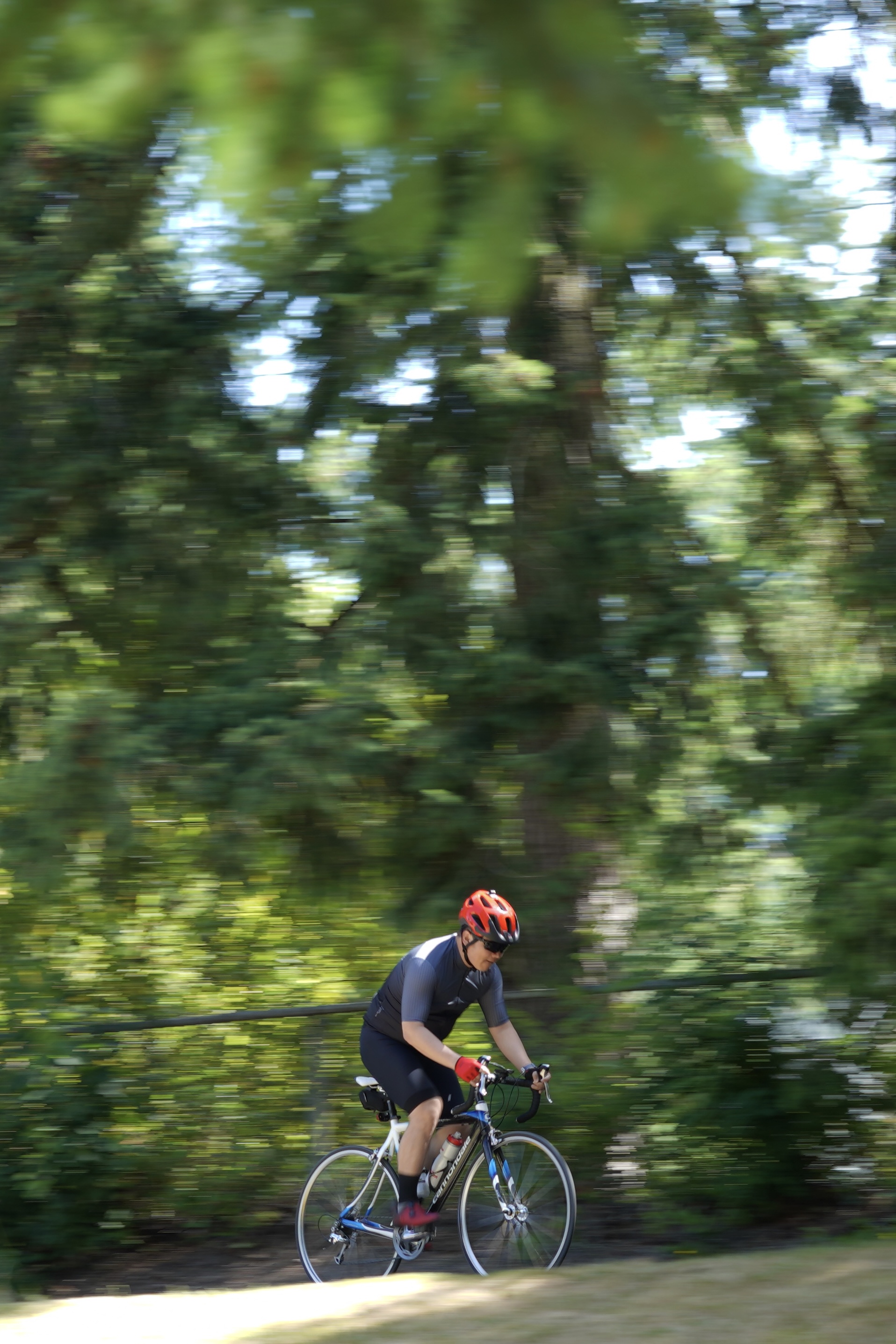 Cyclist 4