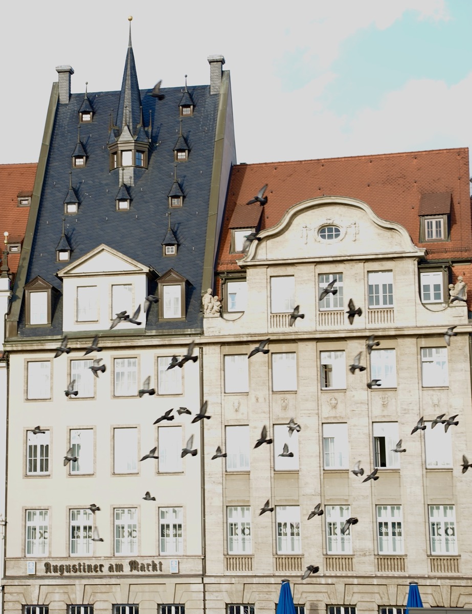 Travel photo 5