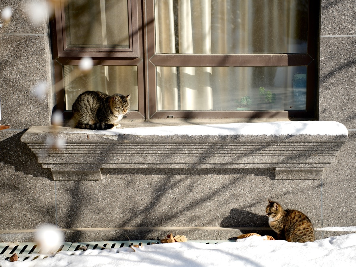 Travel photo 8